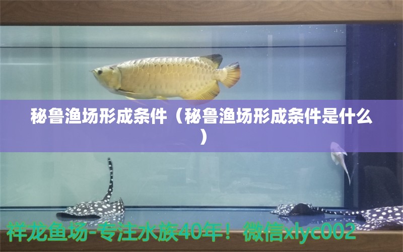 秘鲁渔场形成条件（秘鲁渔场形成条件是什么） 祥龙水族医院