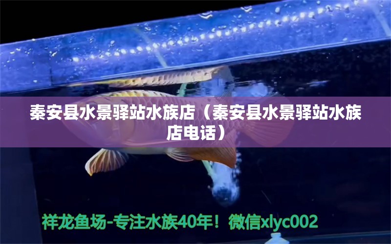 秦安县水景驿站水族店（秦安县水景驿站水族店电话） 全国水族馆企业名录