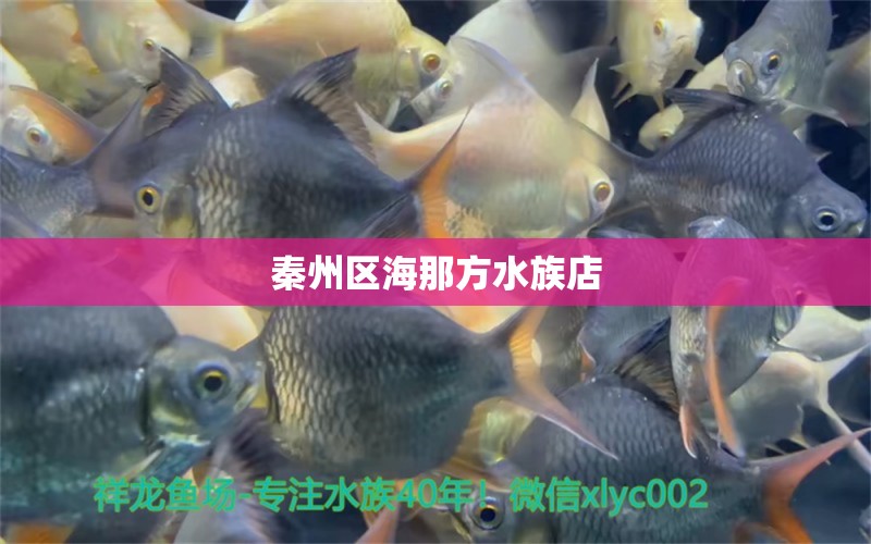 秦州区海那方水族店