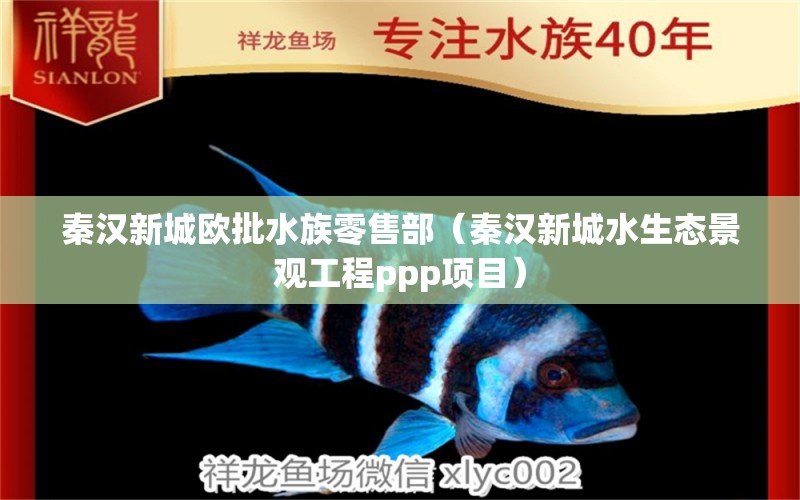 秦汉新城欧批水族零售部（秦汉新城水生态景观工程ppp项目）