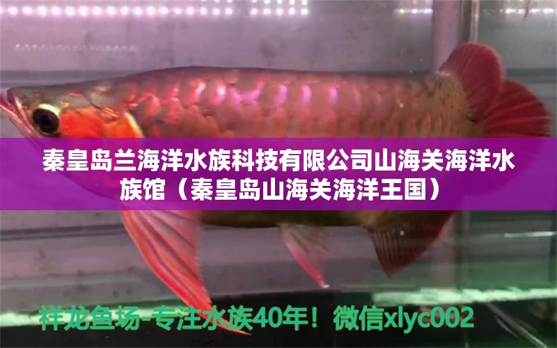 秦皇岛兰海洋水族科技有限公司山海关海洋水族馆（秦皇岛山海关海洋王国）