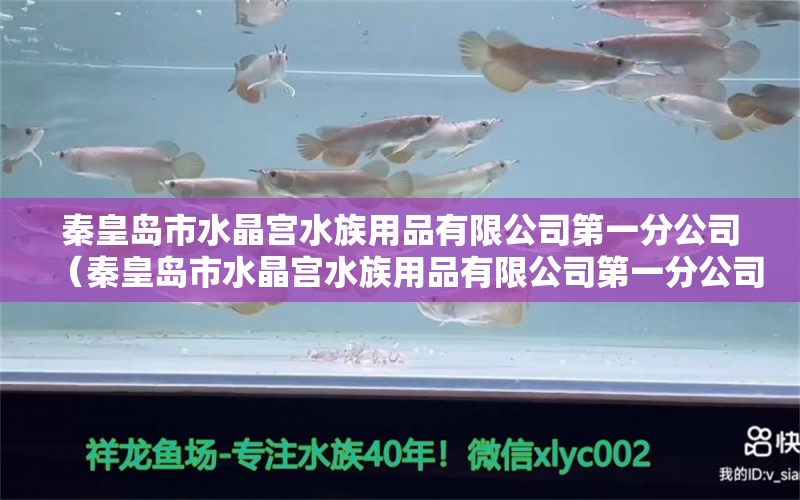 秦皇岛市水晶宫水族用品有限公司第一分公司（秦皇岛市水晶宫水族用品有限公司第一分公司招聘）