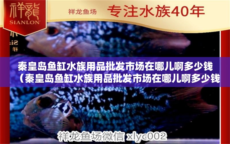 秦皇岛鱼缸水族用品批发市场在哪儿啊多少钱（秦皇岛鱼缸水族用品批发市场在哪儿啊多少钱一斤） 水族用品