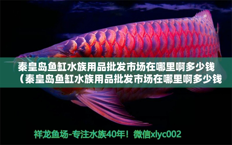 秦皇岛鱼缸水族用品批发市场在哪里啊多少钱（秦皇岛鱼缸水族用品批发市场在哪里啊多少钱一斤）