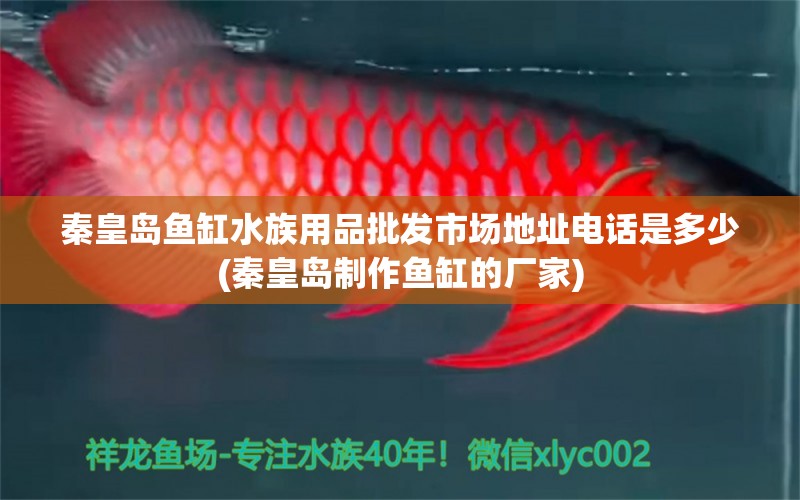 秦皇岛鱼缸水族用品批发市场地址电话是多少(秦皇岛制作鱼缸的厂家) 水族用品