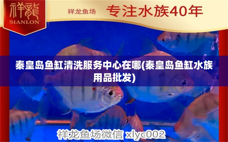 秦皇岛鱼缸清洗服务中心在哪(秦皇岛鱼缸水族用品批发) 水族用品