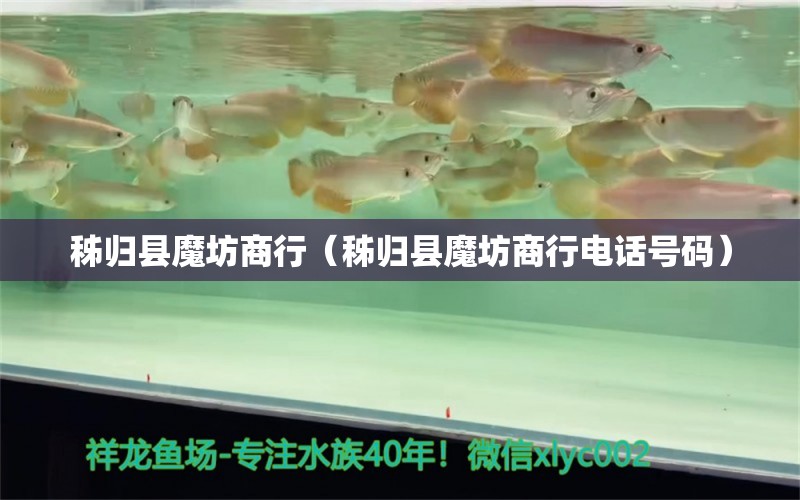 秭归县魔坊商行（秭归县魔坊商行电话号码） 全国水族馆企业名录