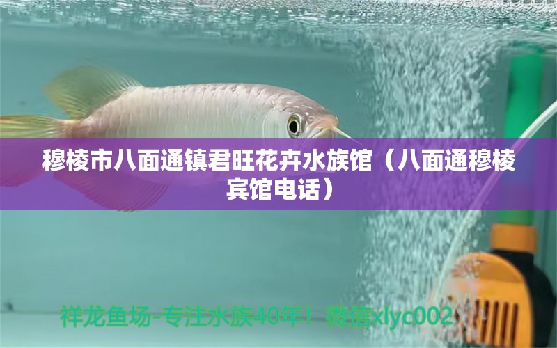 穆棱市八面通镇君旺花卉水族馆（八面通穆棱宾馆电话）