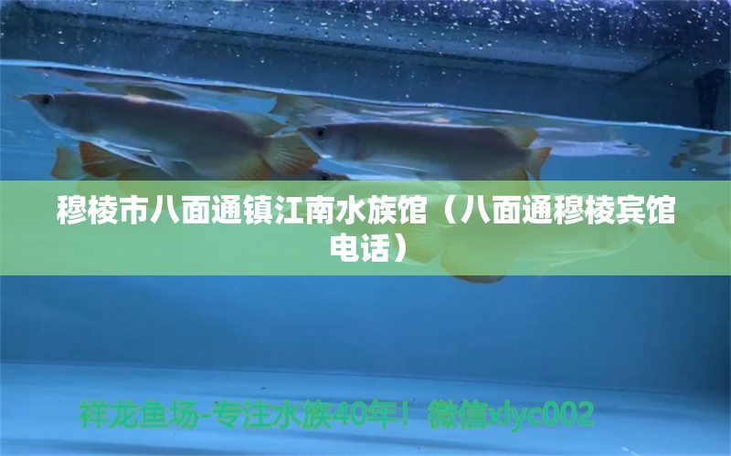 穆棱市八面通镇江南水族馆（八面通穆棱宾馆电话）