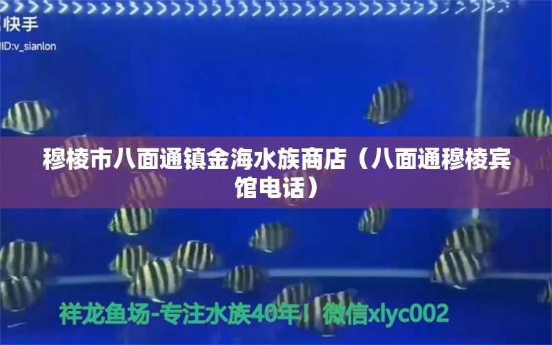 穆棱市八面通镇金海水族商店（八面通穆棱宾馆电话）