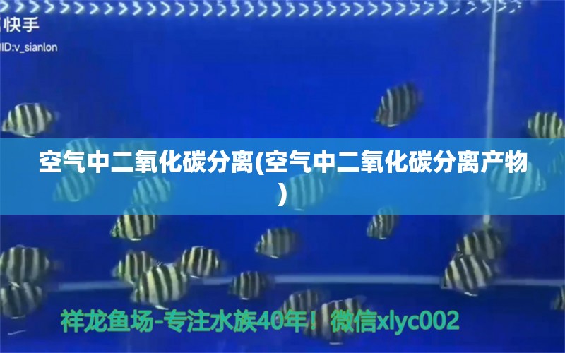 空气中二氧化碳分离(空气中二氧化碳分离产物) 二氧化碳设备