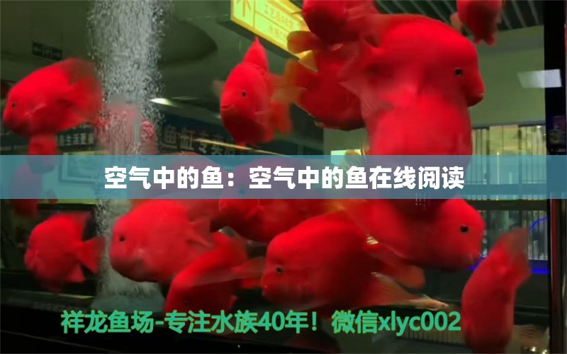 空气中的鱼：空气中的鱼在线阅读