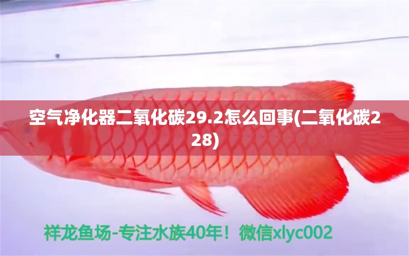 空气净化器二氧化碳29.2怎么回事(二氧化碳228) 二氧化碳设备