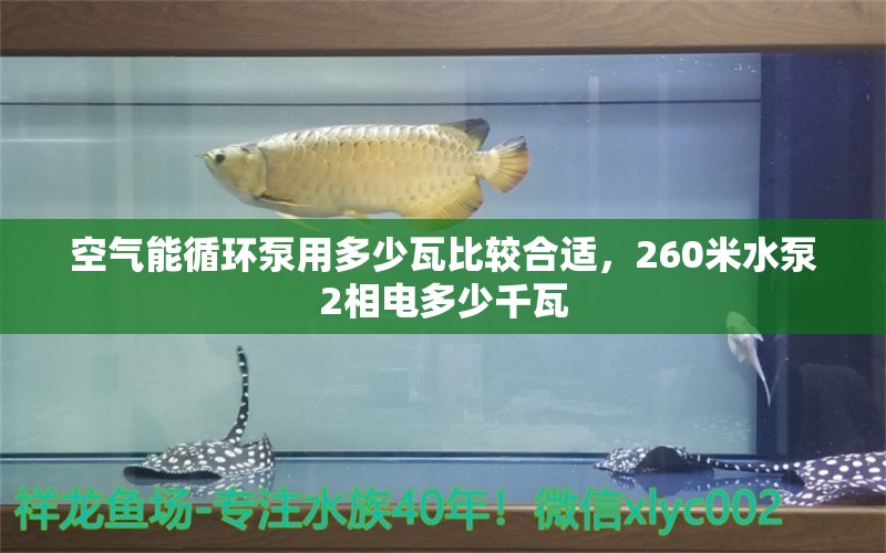 空气能循环泵用多少瓦比较合适，260米水泵2相电多少千瓦