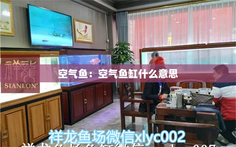 空气鱼：空气鱼缸什么意思