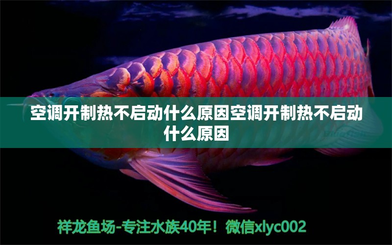 空调开制热不启动什么原因空调开制热不启动什么原因 水族灯（鱼缸灯）