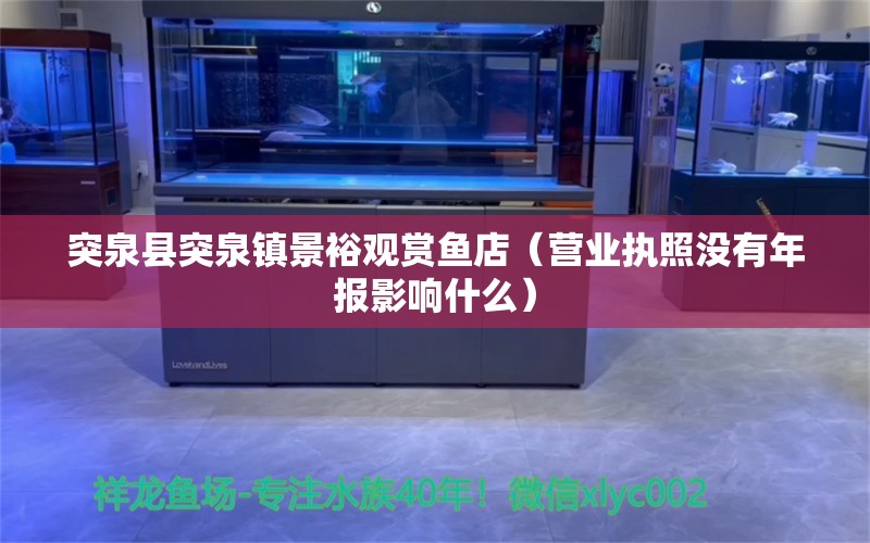 突泉县突泉镇景裕观赏鱼店（营业执照没有年报影响什么）