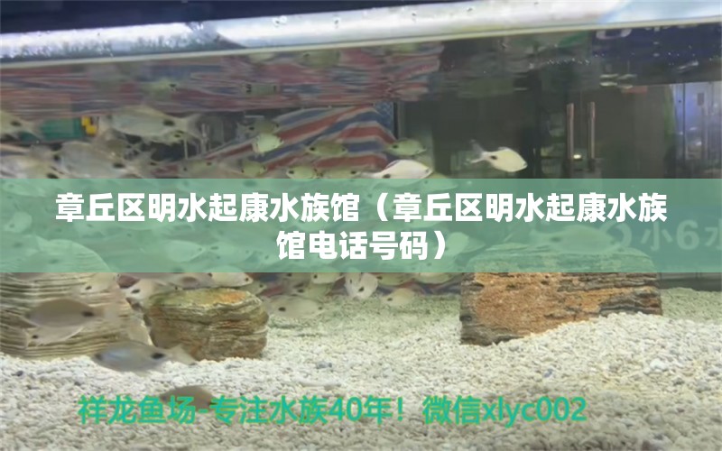 章丘区明水起康水族馆（章丘区明水起康水族馆电话号码） 全国水族馆企业名录