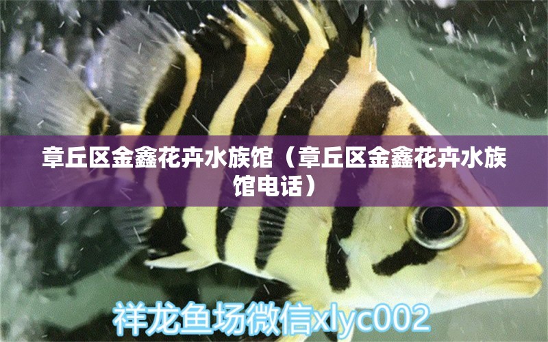 章丘区金鑫花卉水族馆（章丘区金鑫花卉水族馆电话）