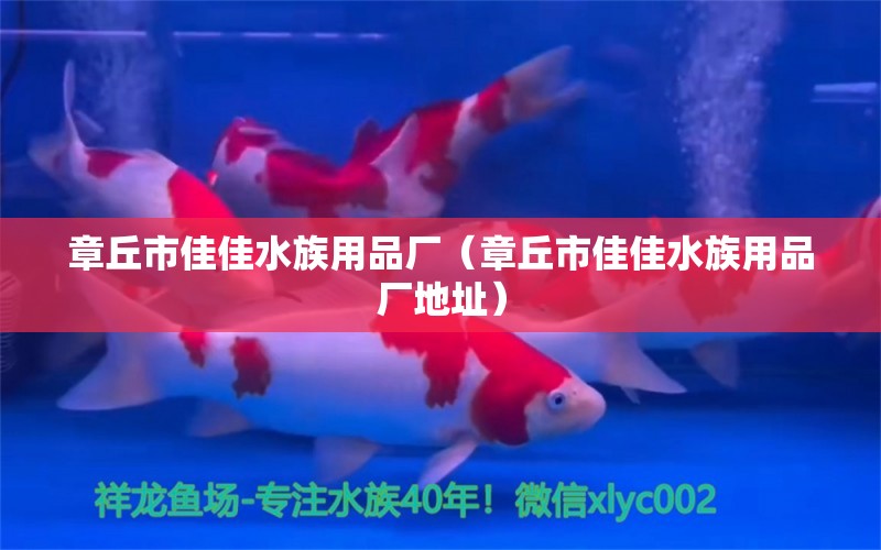 章丘市佳佳水族用品厂（章丘市佳佳水族用品厂地址）