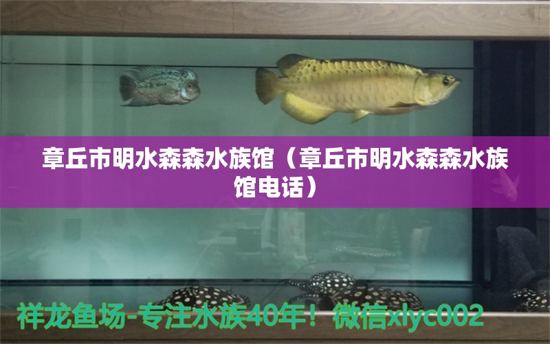 章丘市明水森森水族馆（章丘市明水森森水族馆电话） 全国水族馆企业名录