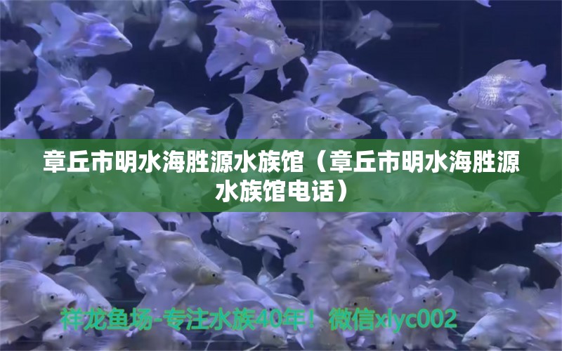 章丘市明水海胜源水族馆（章丘市明水海胜源水族馆电话） 全国水族馆企业名录