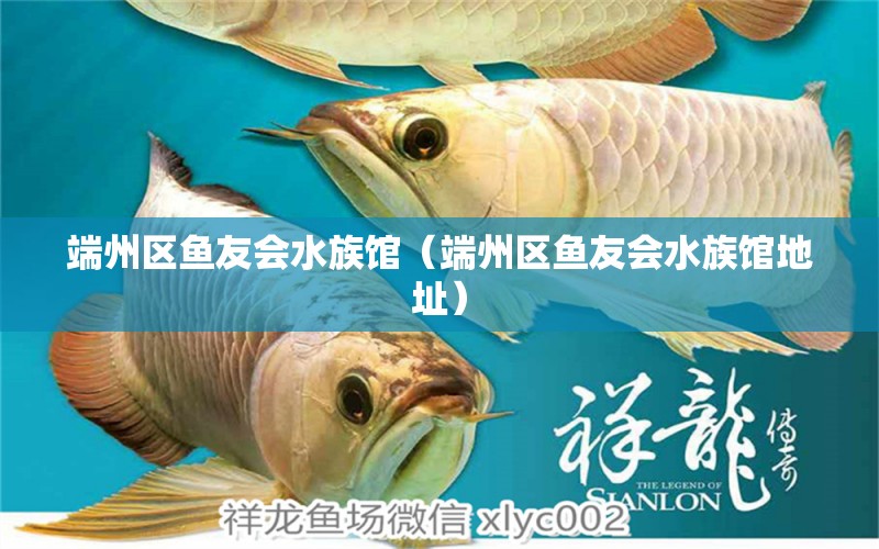 端州区鱼友会水族馆（端州区鱼友会水族馆地址）