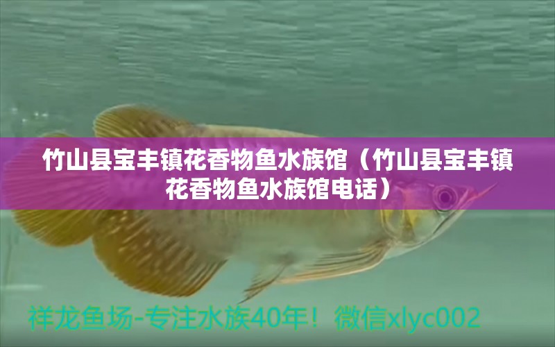 竹山县宝丰镇花香物鱼水族馆（竹山县宝丰镇花香物鱼水族馆电话）