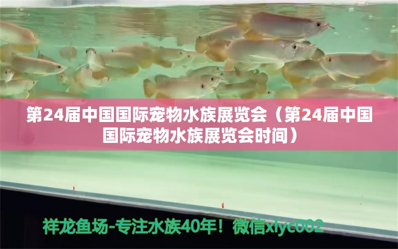 第24届中国国际宠物水族展览会（第24届中国国际宠物水族展览会时间） 水族展会