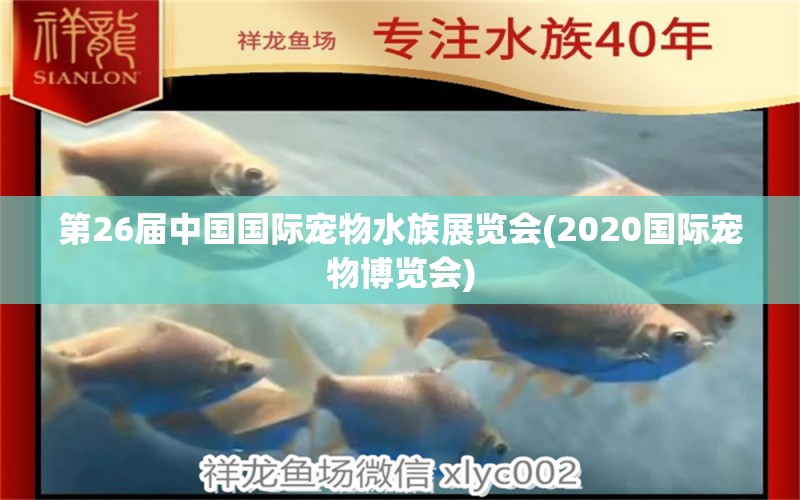 第26届中国国际宠物水族展览会(2020国际宠物博览会) 水族展会 第1张