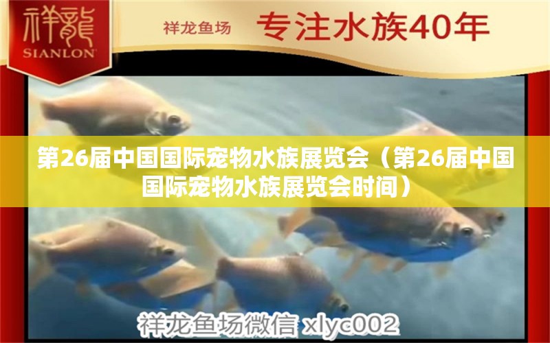 第26届中国国际宠物水族展览会（第26届中国国际宠物水族展览会时间） 水族展会