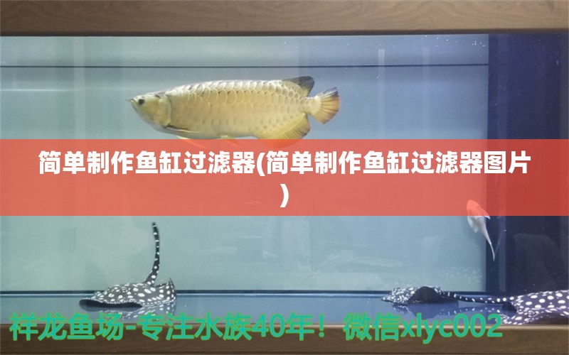 简单制作鱼缸过滤器(简单制作鱼缸过滤器图片) 祥龙水族滤材/器材 第1张