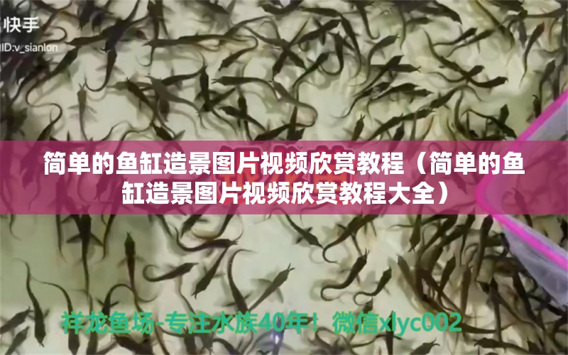 简单的鱼缸造景图片视频欣赏教程（简单的鱼缸造景图片视频欣赏教程大全）