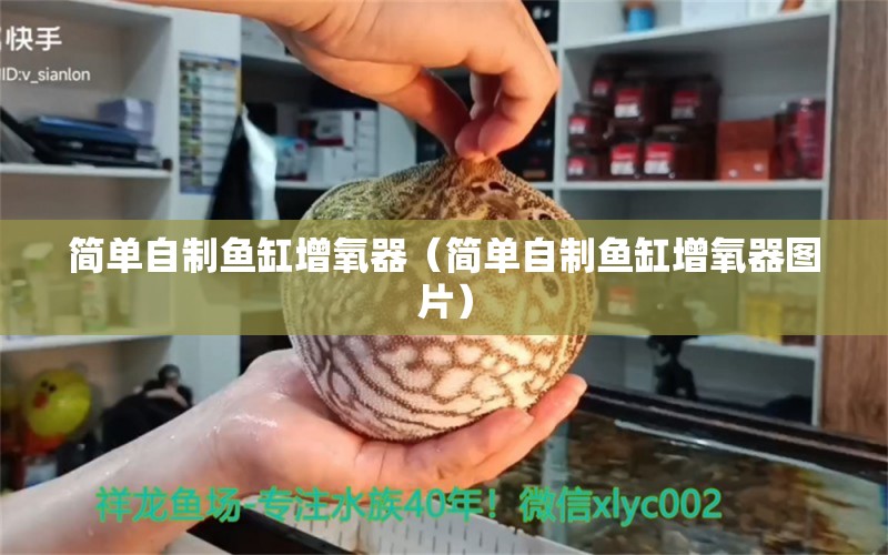 简单自制鱼缸增氧器（简单自制鱼缸增氧器图片） 野生地图鱼