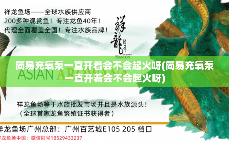 简易充氧泵一直开着会不会起火呀(简易充氧泵一直开着会不会起火呀)