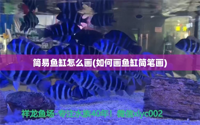 简易鱼缸怎么画(如何画鱼缸简笔画)