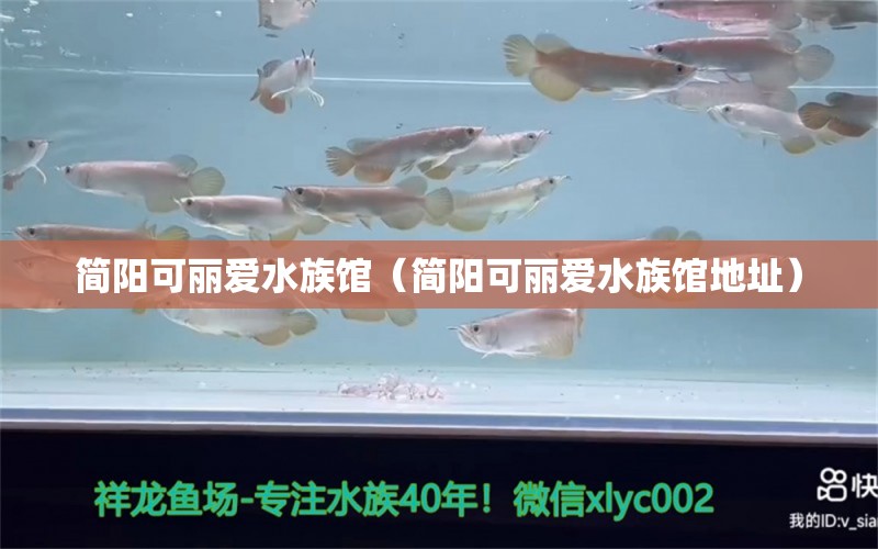 简阳可丽爱水族馆（简阳可丽爱水族馆地址） 全国水族馆企业名录