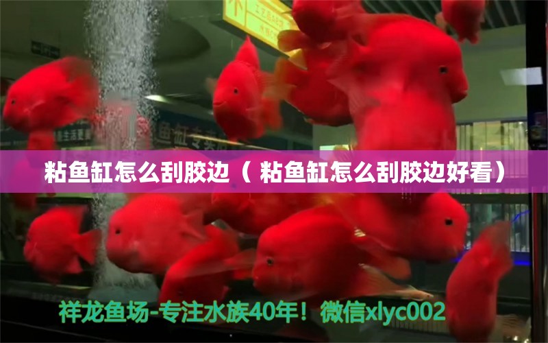 粘鱼缸怎么刮胶边（ 粘鱼缸怎么刮胶边好看） 野彩鱼 第1张