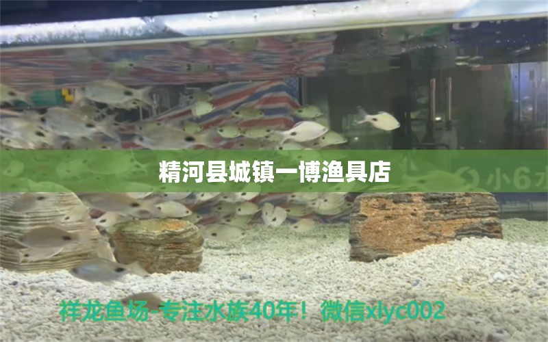 精河县城镇一博渔具店 全国水族馆企业名录