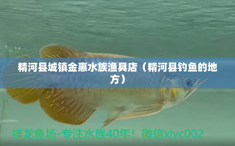 精河县城镇金惠水族渔具店（精河县钓鱼的地方）