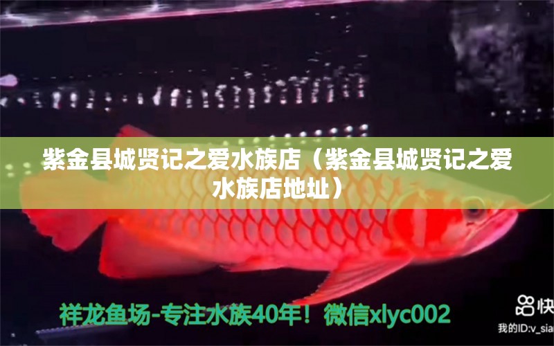 紫金县城贤记之爱水族店（紫金县城贤记之爱水族店地址） 全国水族馆企业名录