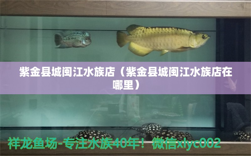 紫金县城闽江水族店（紫金县城闽江水族店在哪里）