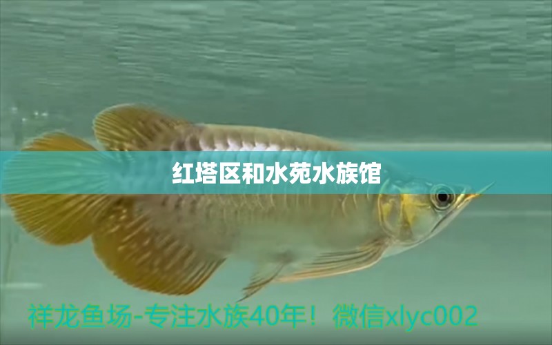 红塔区和水苑水族馆