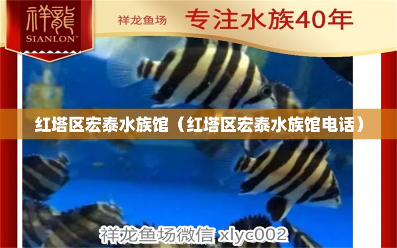 红塔区宏泰水族馆（红塔区宏泰水族馆电话） 全国水族馆企业名录