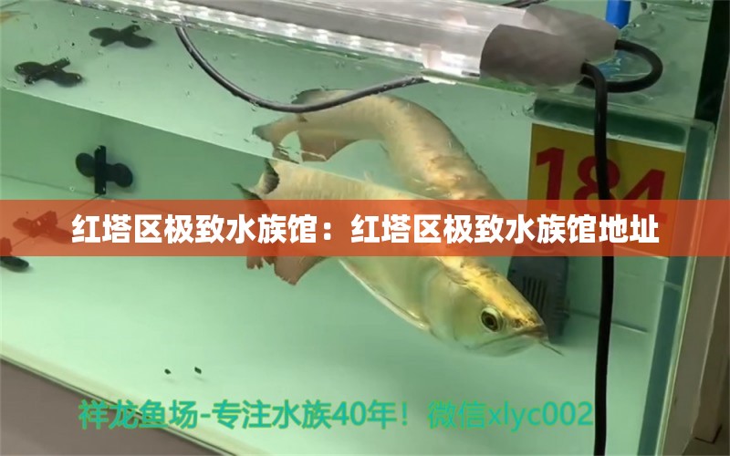 红塔区极致水族馆：红塔区极致水族馆地址