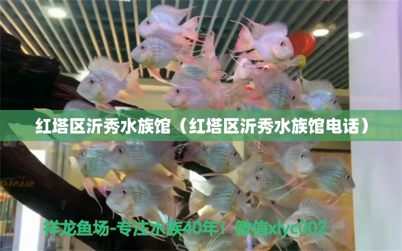 红塔区沂秀水族馆（红塔区沂秀水族馆电话）