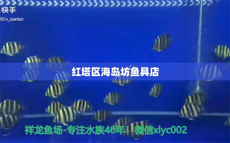 红塔区海岛坊鱼具店 全国水族馆企业名录