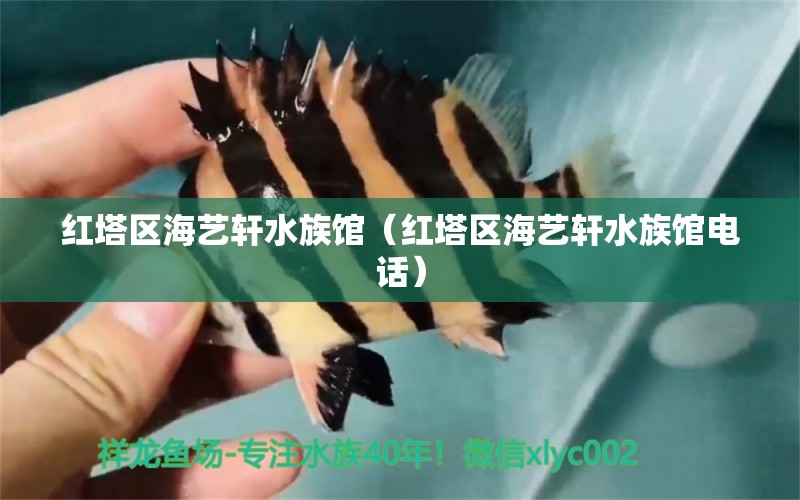 红塔区海艺轩水族馆（红塔区海艺轩水族馆电话） 全国水族馆企业名录