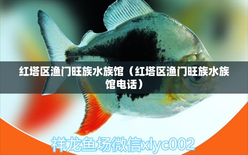 红塔区渔门旺族水族馆（红塔区渔门旺族水族馆电话）