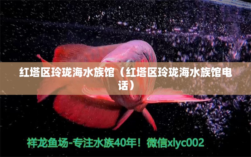 红塔区玲珑海水族馆（红塔区玲珑海水族馆电话）